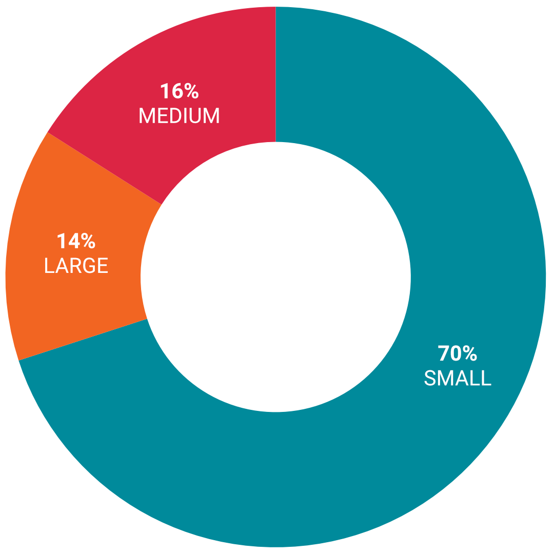 Members by firm size: small 70%, medium 16%, large 14%