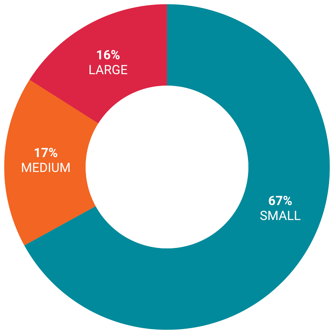 Members by firm size: small 67%, medium 17%, large 16%