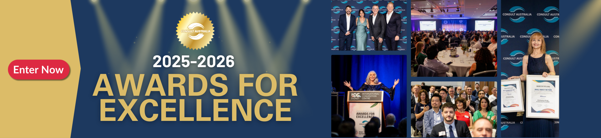 Awards for excellence