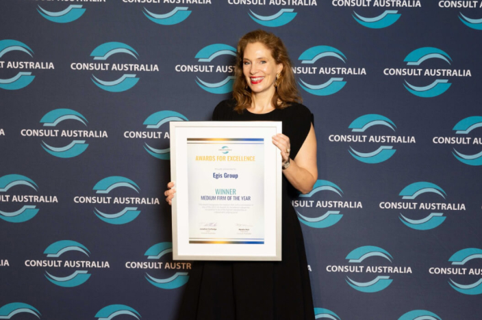 Consulting Matters - July 2026 - General News 2 - Medium Firm of the Year, Egis 2